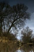 Hladina | Táto fotka patrí do série fotografií, ktoré zachytávajú prírodu v povodí rieky Mži, tečúcej cez Plzeň. Nie však klasickým spôsobom, ale zrkadliaca sa krajina na hladine je obrátená o 180 stupňov, čo nám dáva možnosť vidieť prírodu z nevšedného pohladu. | autor: Lenka Karasová