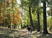 Podzimní procházka | Doubravka - Park v Homolkách | autor: Ondřej Valentík