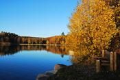 Opuštěný Bolevák | Podzimní barvy na rybníce | autor: Radek Dolan